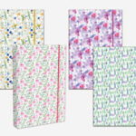 Fascikla sa gumom 2D