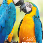 Blok za beleske A6 mek povez