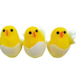 Pilici dekorativni set 1/3